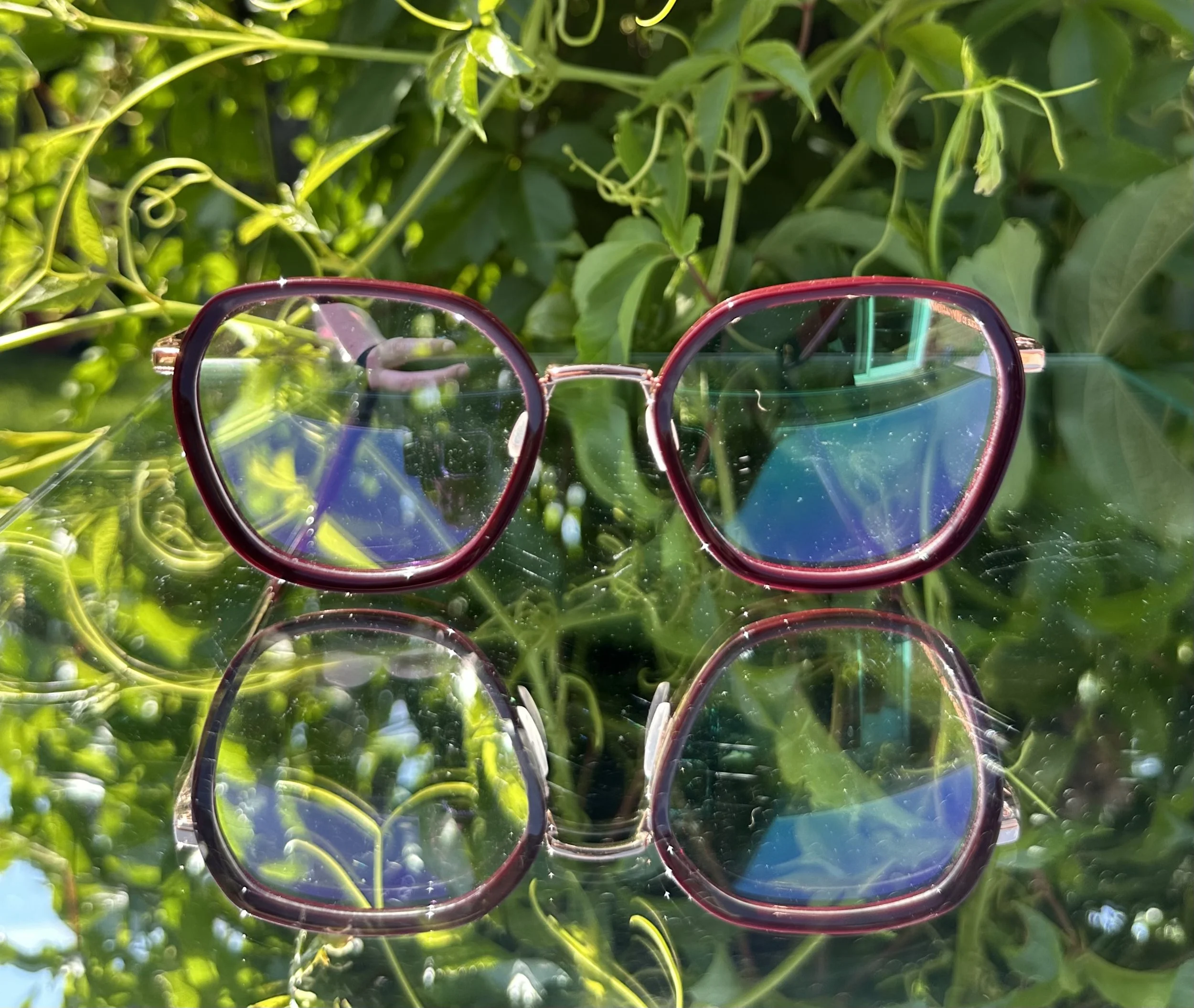 Dick Moby Catania c.rose gold/bordeaux