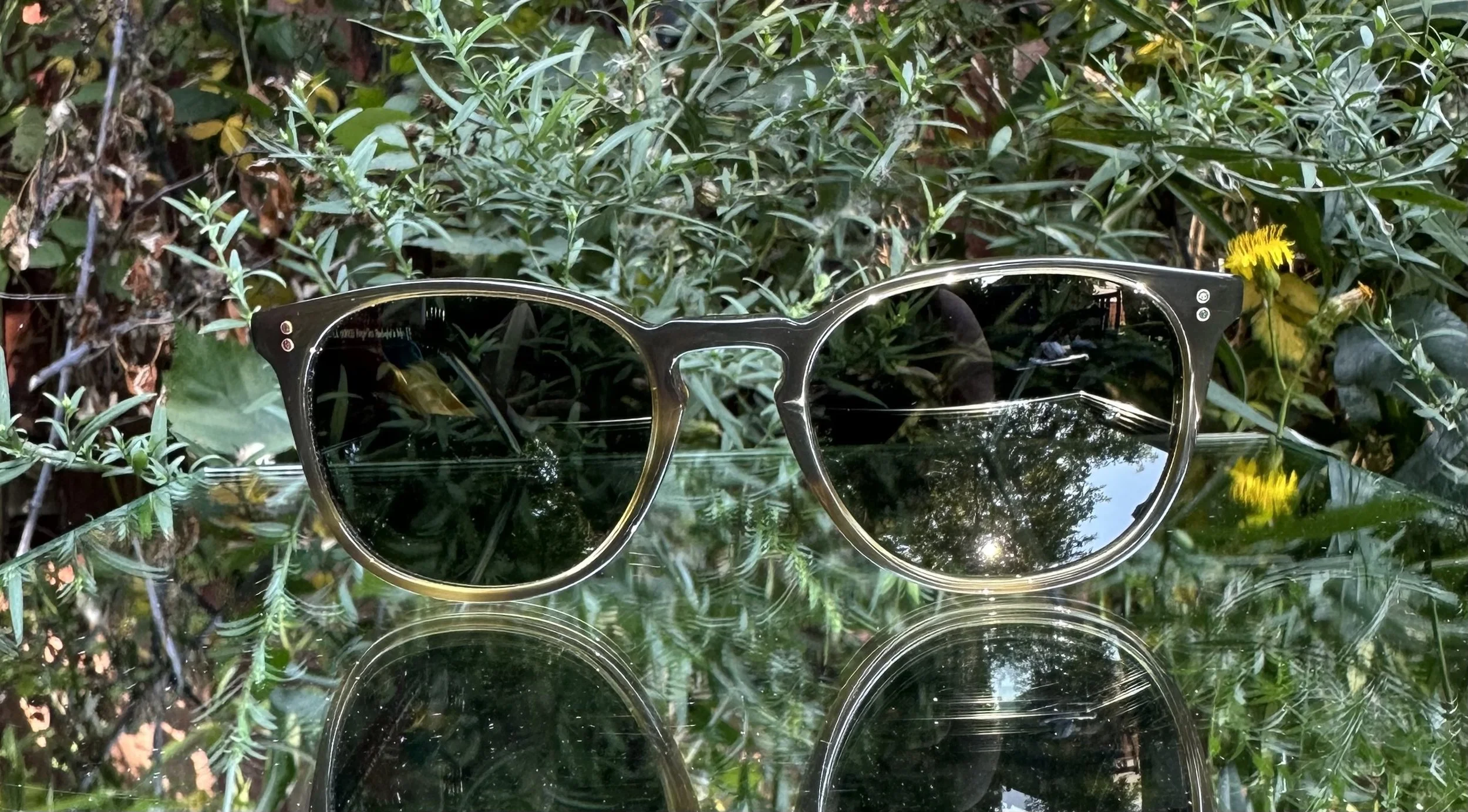 Oliver Peoples Finley Esq. c.167752 Moss