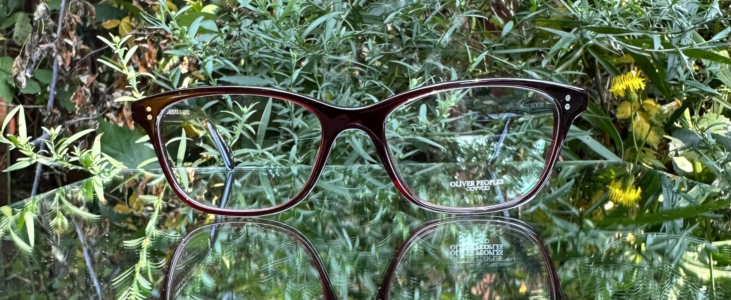 Oliver Peoples Ashton c.1675 wine.