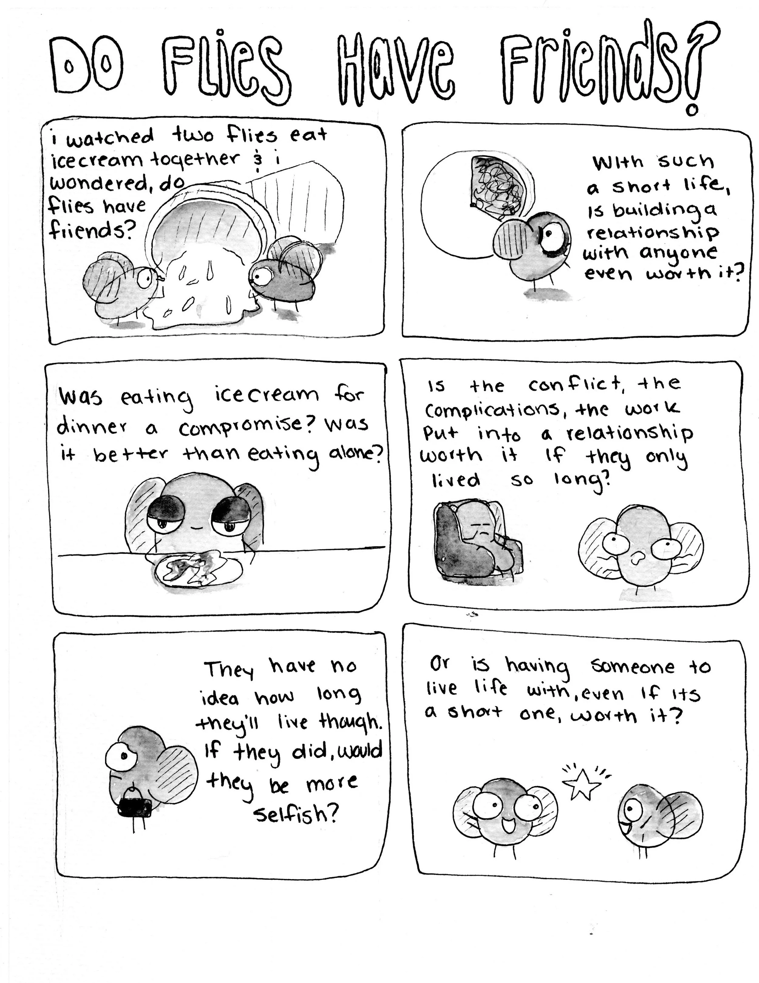 Do Flies Have Friends?