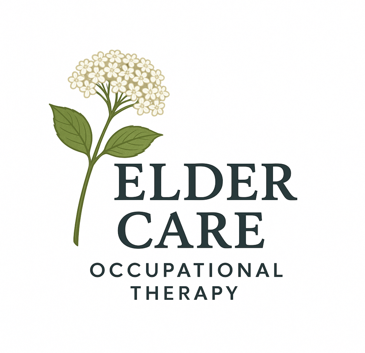 Elder Care Occupational Therapy