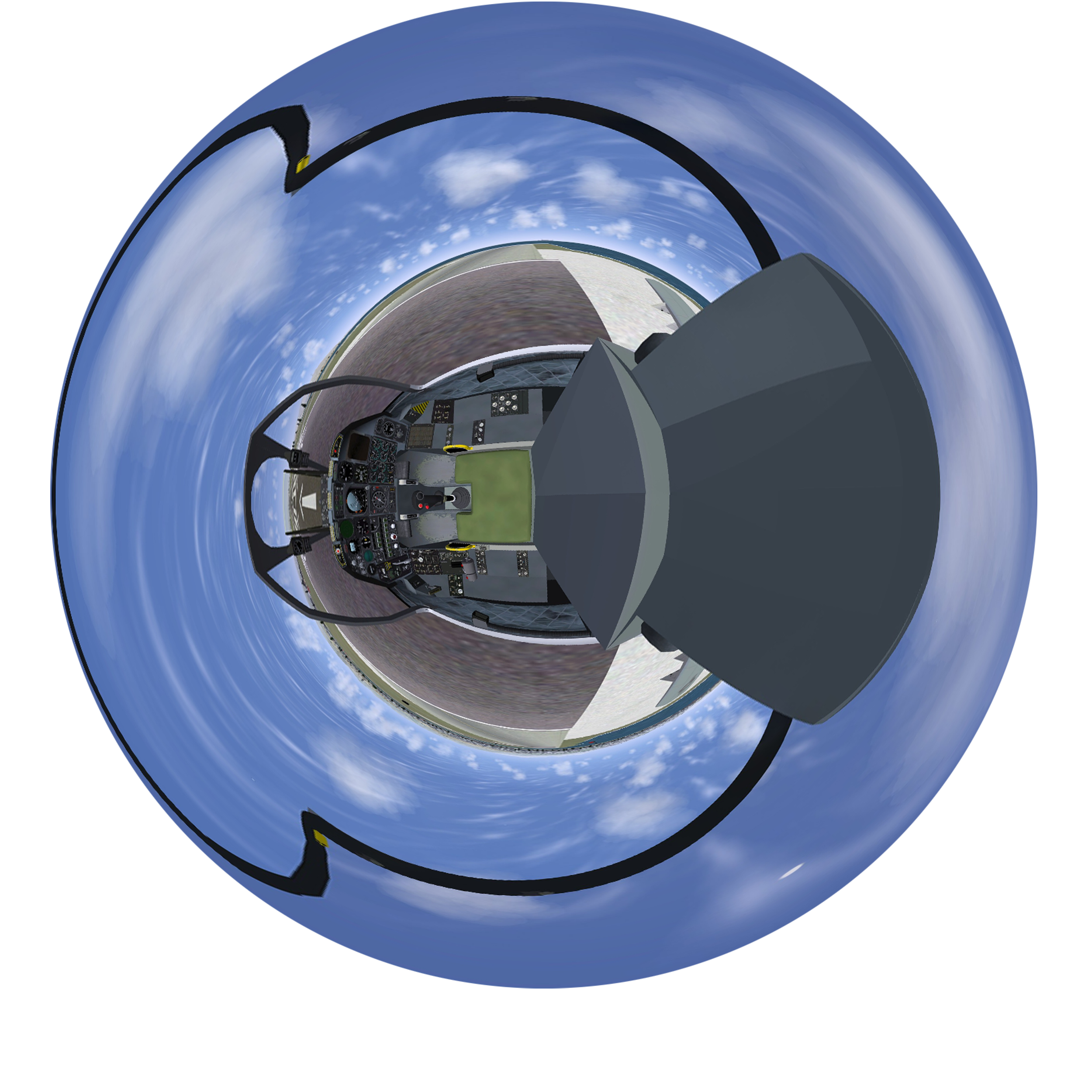 Hog Simulation (cyberspace)