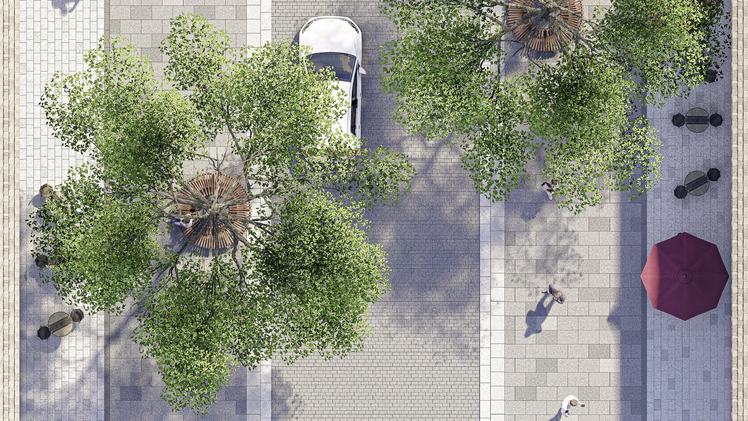 25-004_SWORDS_MAIN_ST_PAVING PATTERN 01__Zoom In_TREES.jpg