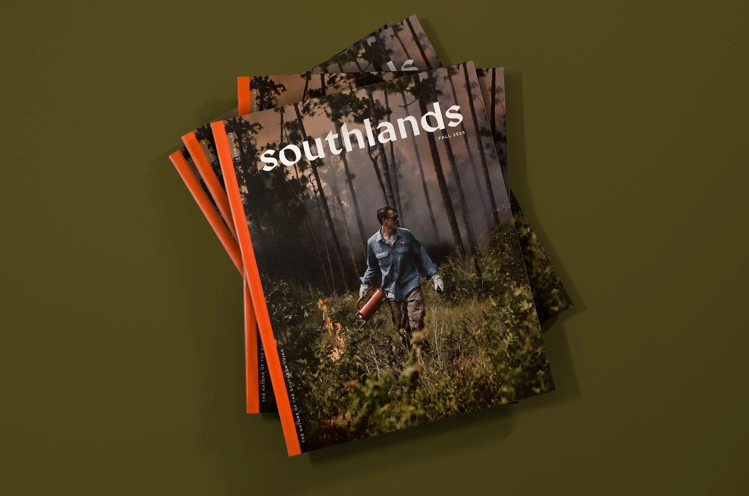 Southlands-Cover.jpg