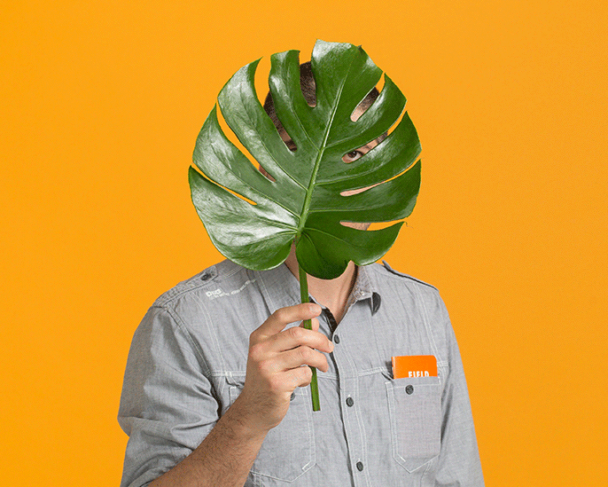Plant_Gif_01B.gif