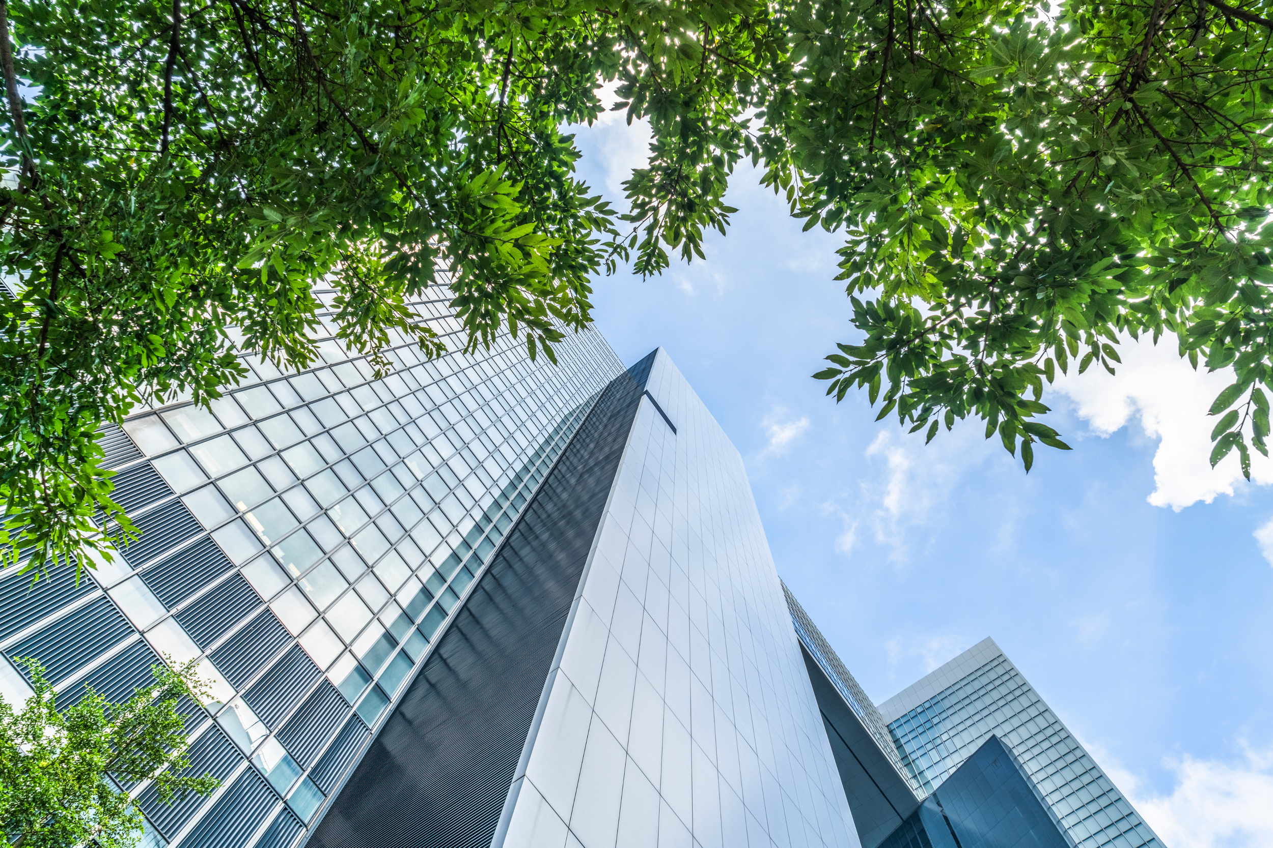 Snyder Development Group | Commercial Real Estate Investment