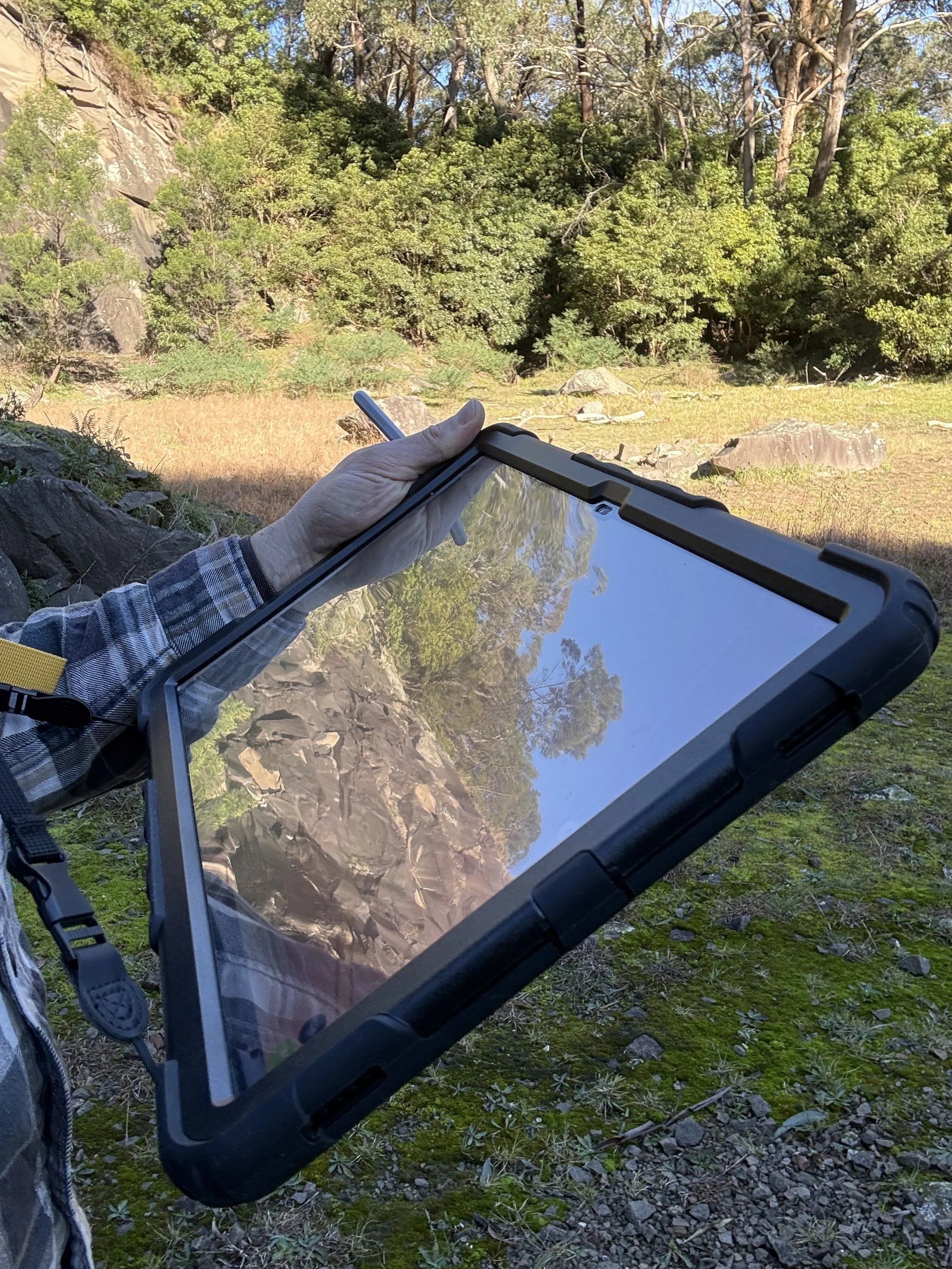 Digitial Field Data