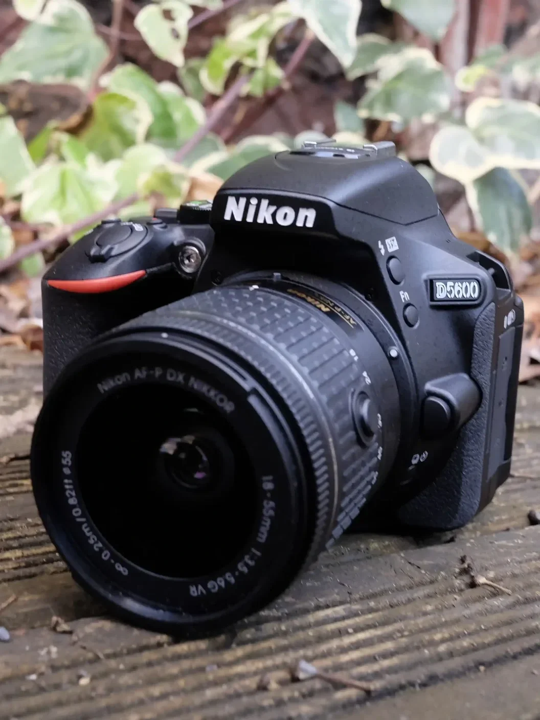 A Nikon D5600 digital camera with a 18-55mm lens resting on a wooden surface outdoors, with green leaves in the background.
