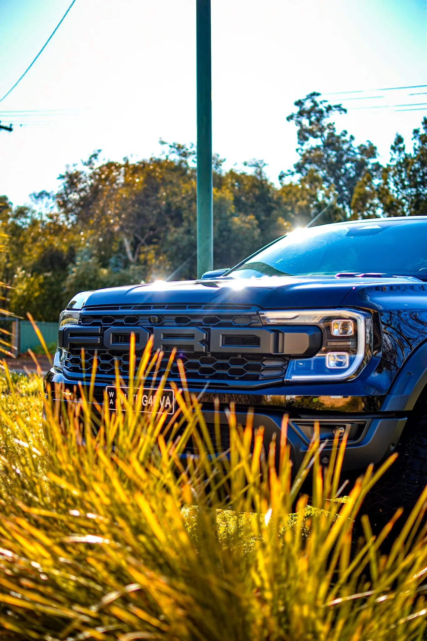 Close-up of a black Ford vehicle parked outdoors on a sunny day with trees and power lines in the background.