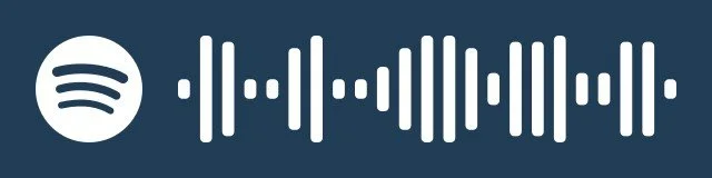 Spotify logo and a pattern of vertical lines resembling a sound wave.