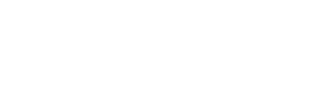Octopus Marine