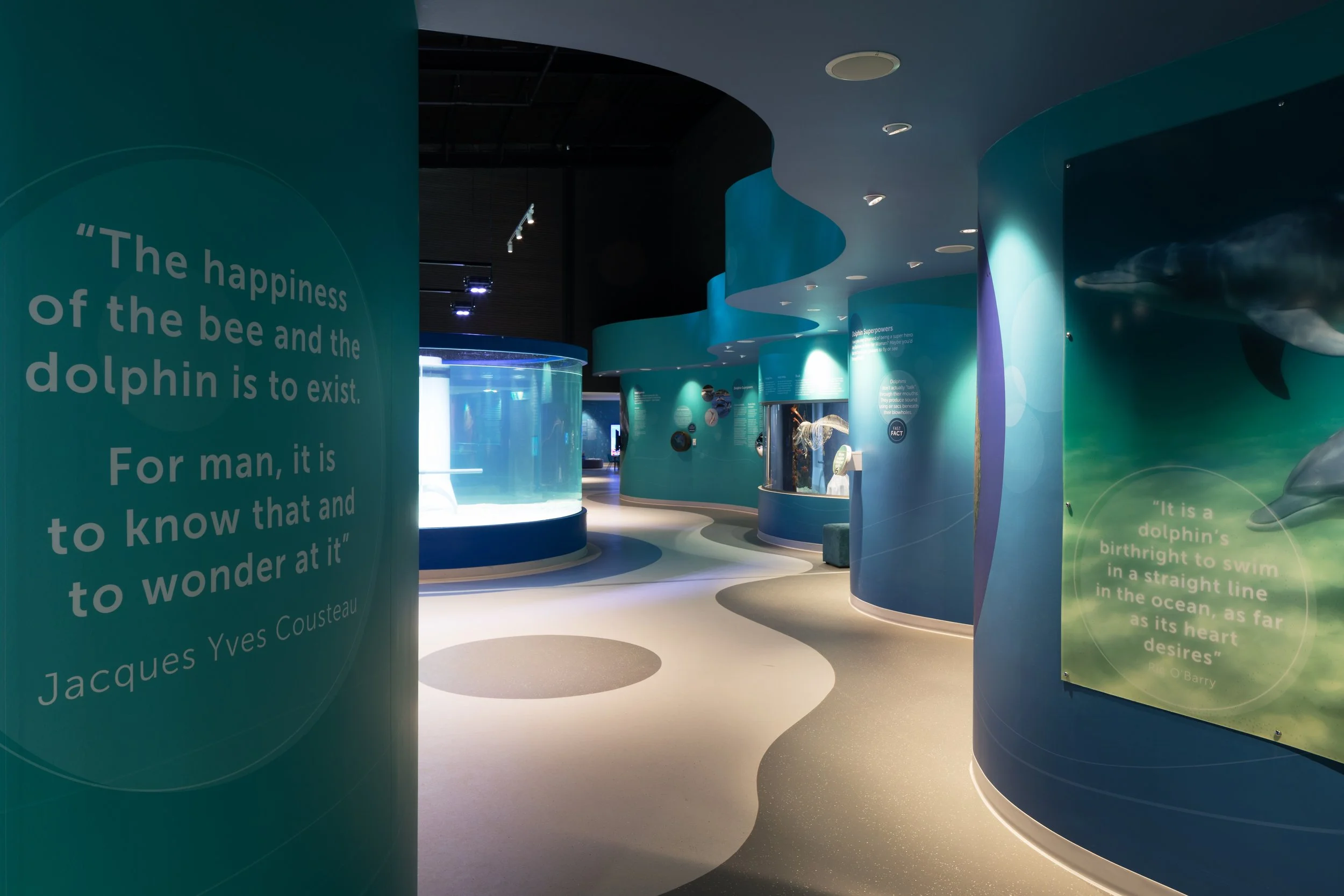Interior view of an aquarium exhibit with curved walls displaying quotes about dolphins and bees, featuring large cylindrical tanks with marine animals inside and exhibits with informational panels.
