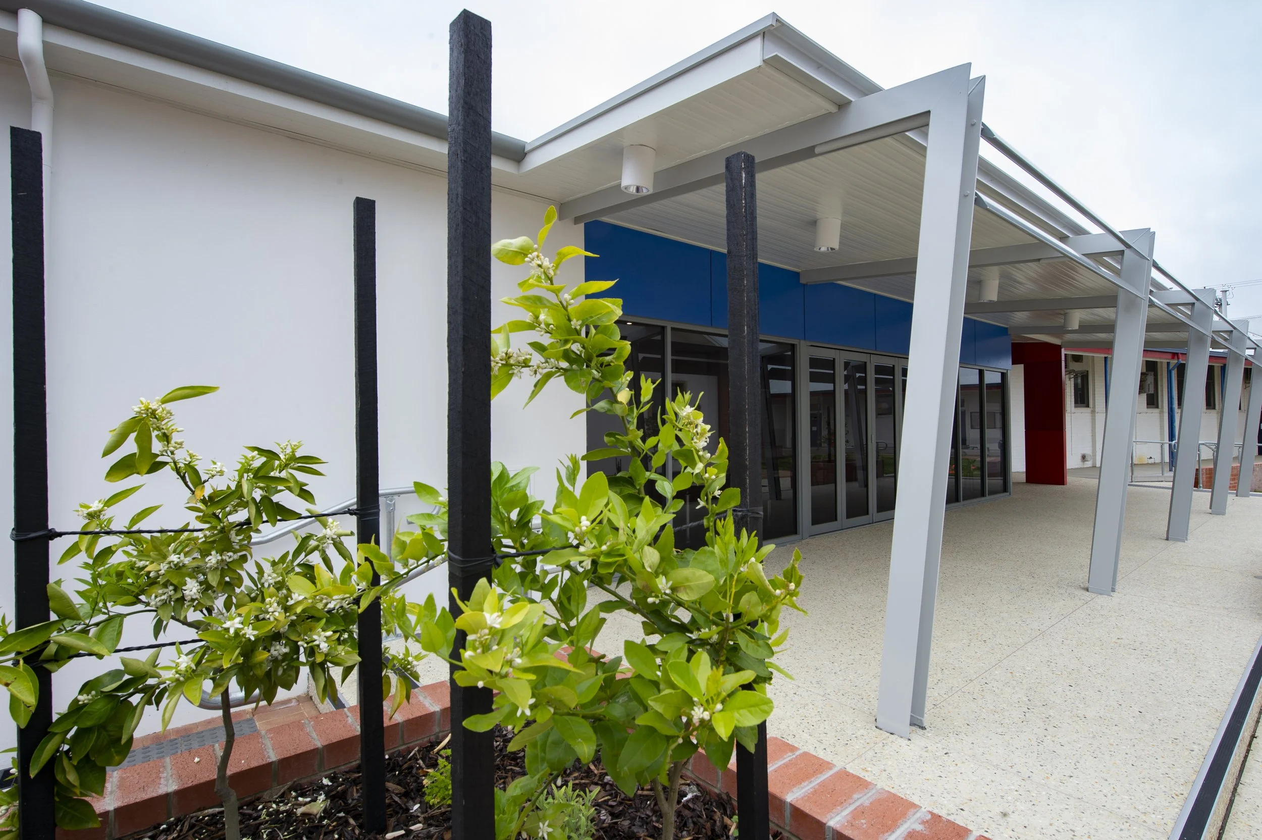 Collie SHS Year 7 Centre