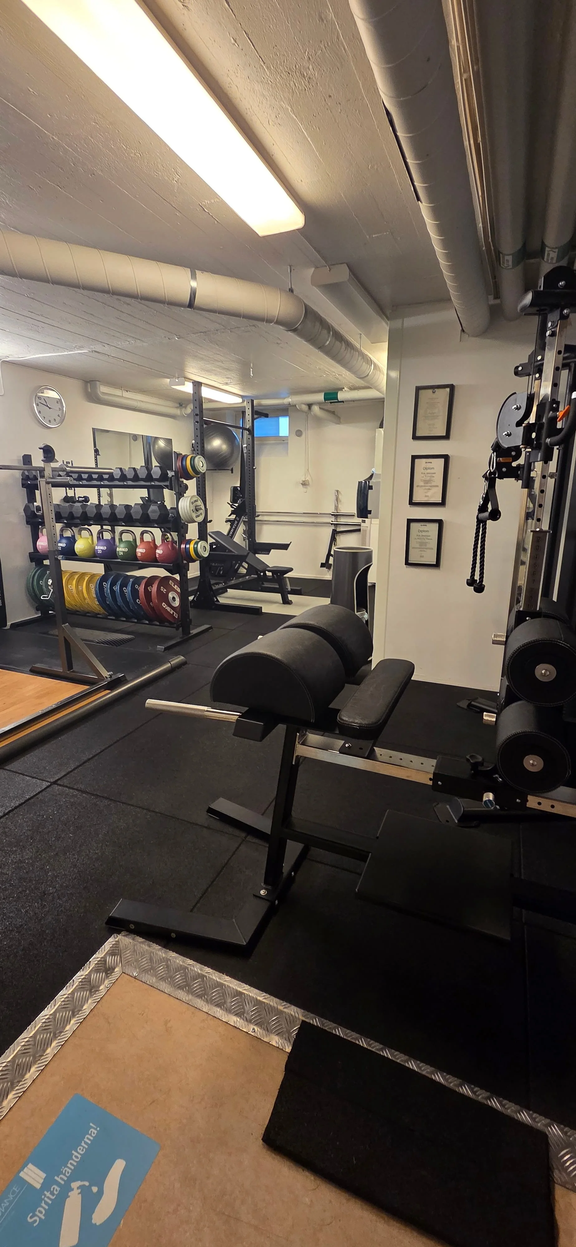 Gym med vikter, träningsutrustning och träningsbänk. Träningsredskap på hyllor och väggar.