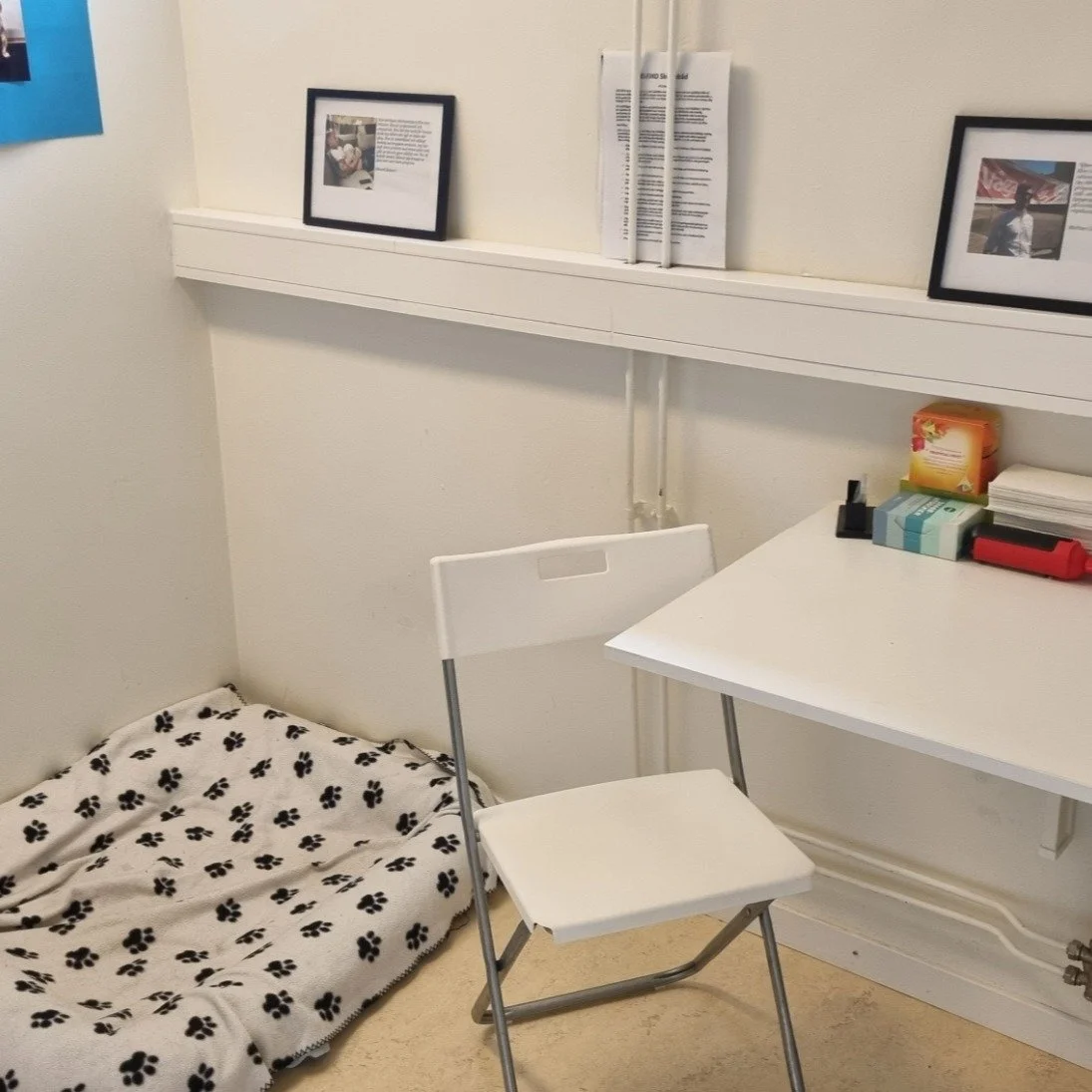 🏋️&zwj;♀️ V&auml;lkommen till KJ Body Performance &ndash; ditt privata tr&auml;ningsparadis p&aring; Erik Dahlbergsgatan 30, Stockholm! 🐾👶
H&auml;r f&aring;r du tr&auml;na p&aring; dina villkor:
✅ Hundv&auml;nligt &ndash; ta med din fyrbenta v&aum