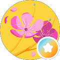 En cirkulär profilbildsillustration som visar rosa körsbärsblommor på en ljusgul bakgrund, med en liten, cirkulär ikon i det nedre högra hörnet som har en blå-till-orange gradient och en vit stjärna inuti.