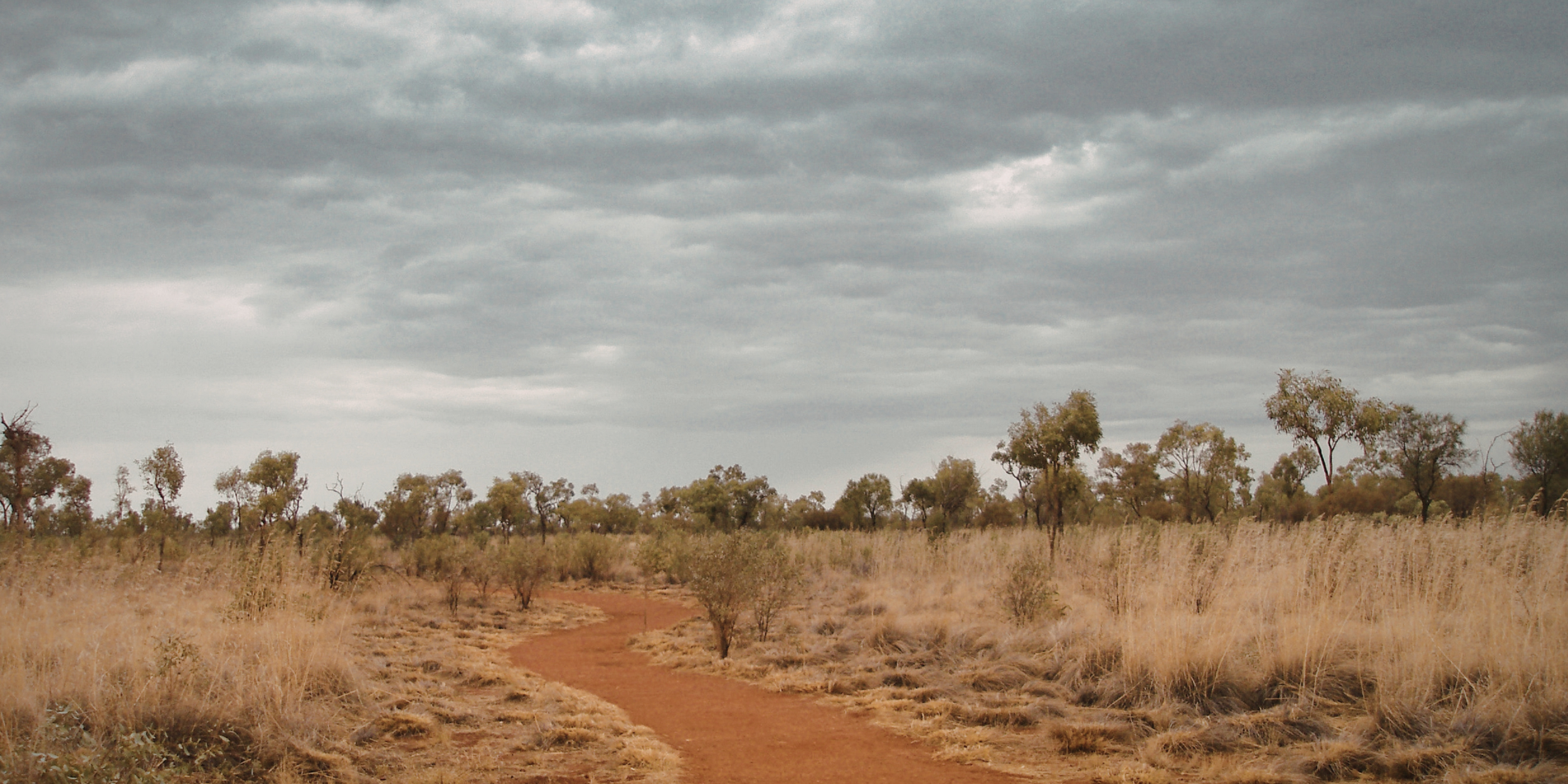 A dirt path runs through a dry grassland with sparse trees under a cloudy sky.