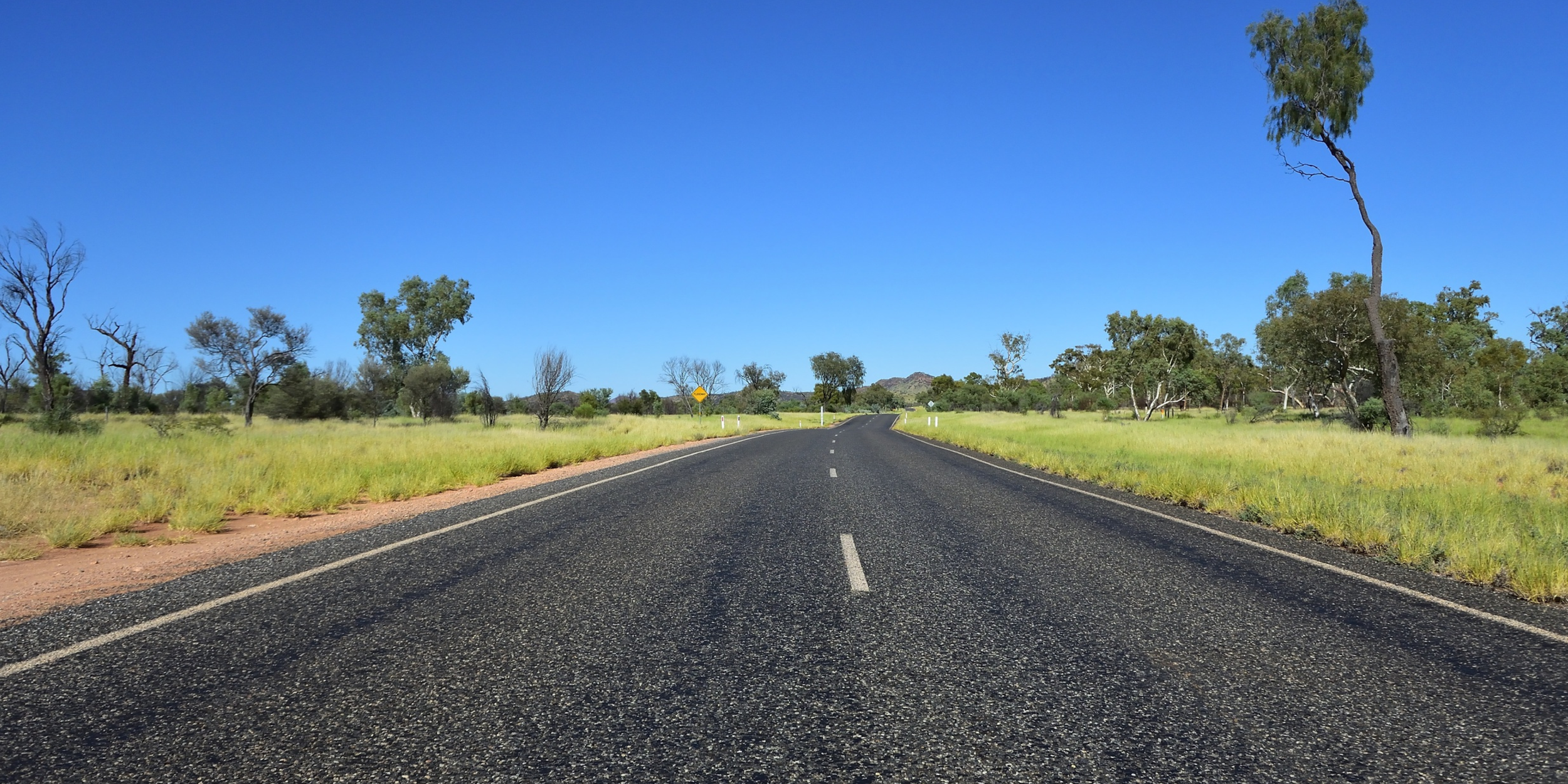 A rural road stretching into the distance with trees on both sides and a clear blue sky above.