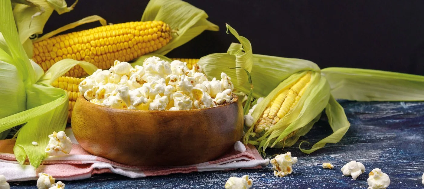 Le-Maïs-à-Pop-Corn.jpg