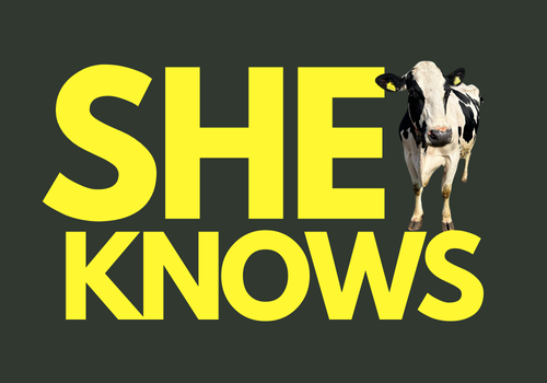 SheKnows - Dairyfresh thinking