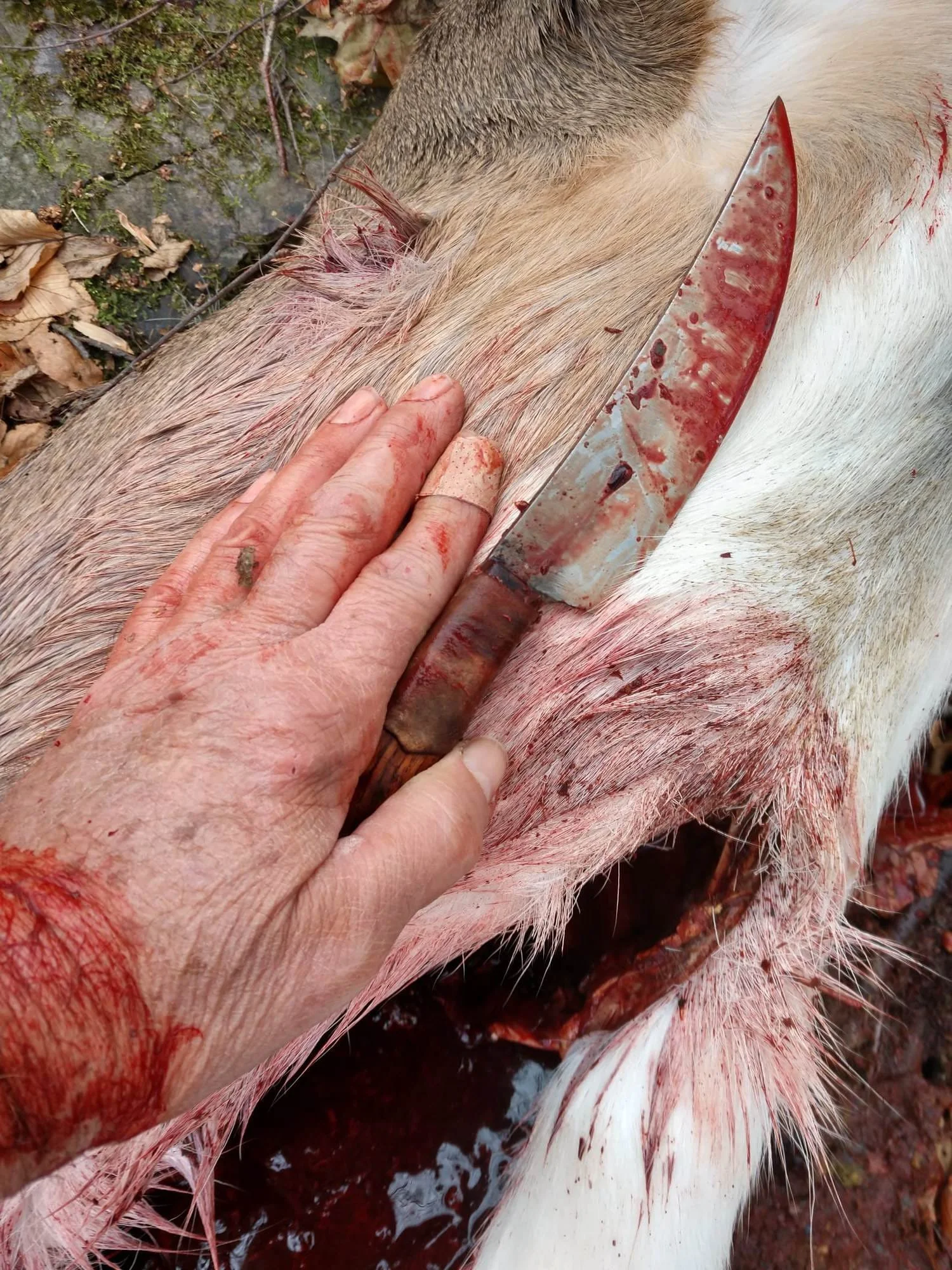 WhatsApp Image 2025-10-01 at 09.23.43 (1).jpeg