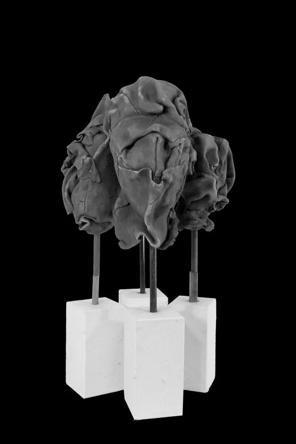 Groupe 2 B 4 Têtes terre .jpeg