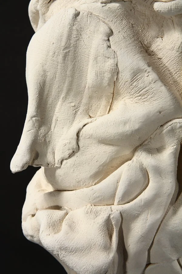 Travaux Photographiques