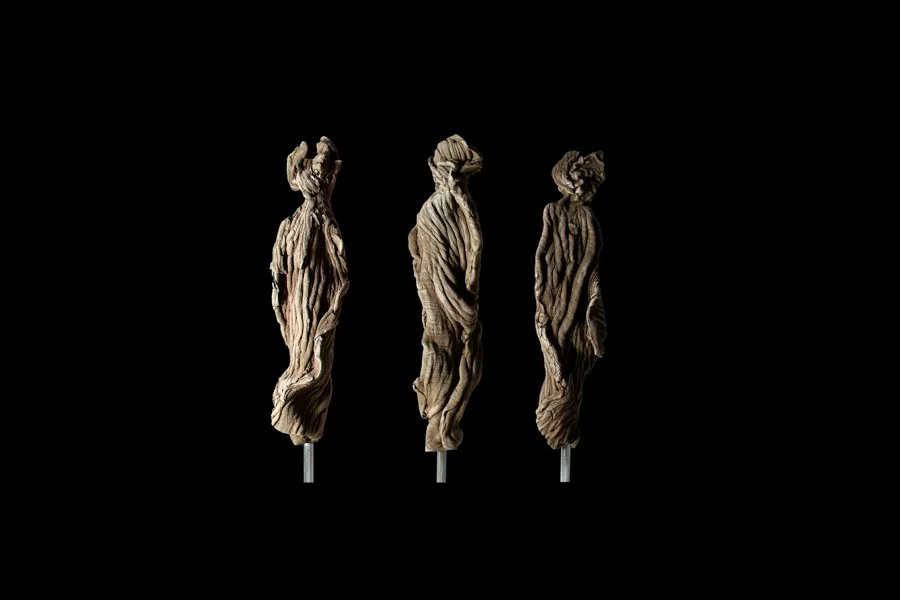 Trio de silhouettes • H22 L6