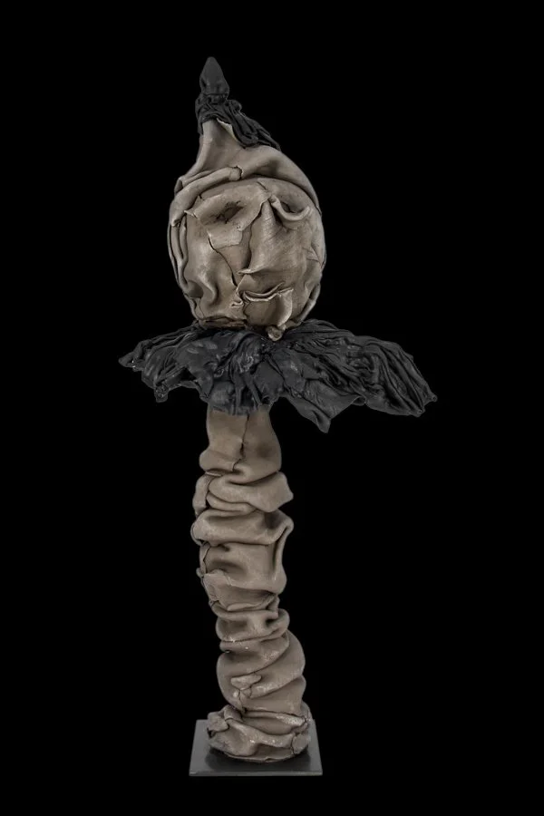 Zebulone • H82 L35