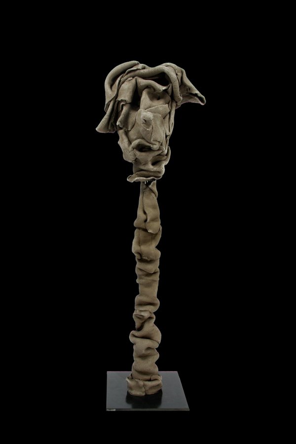 Chien chien • H58 L19