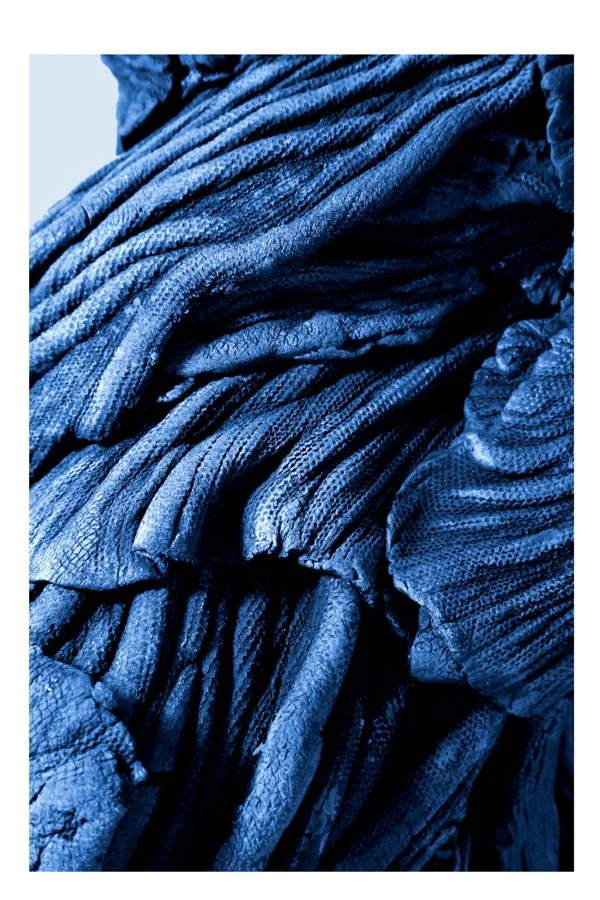 Zom Dame de re-plis vert fond bleu.jpeg