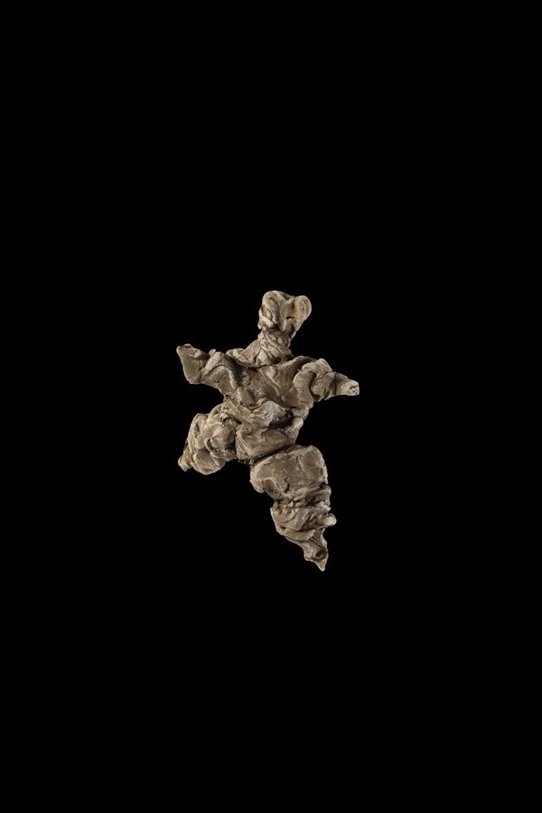 Très petit homme • H13 L10 