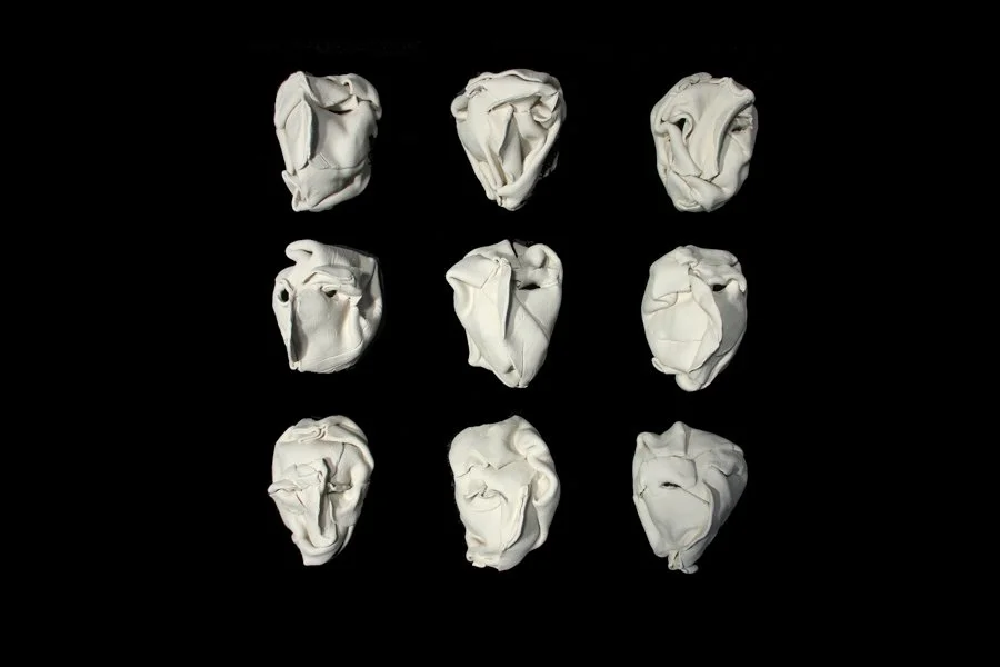 Tableau 9 têtes blanches • H14 L13