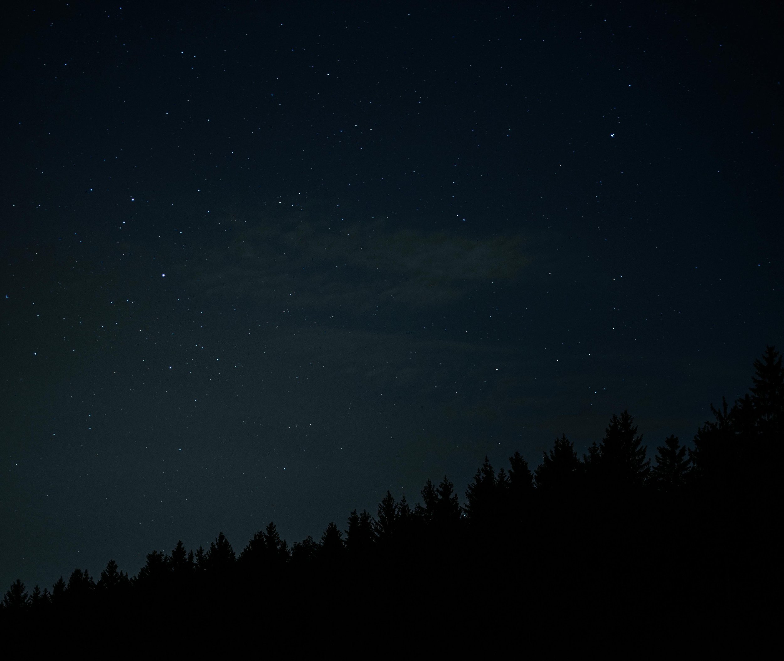 Night sky filled with stars above a silhouette of a forest.