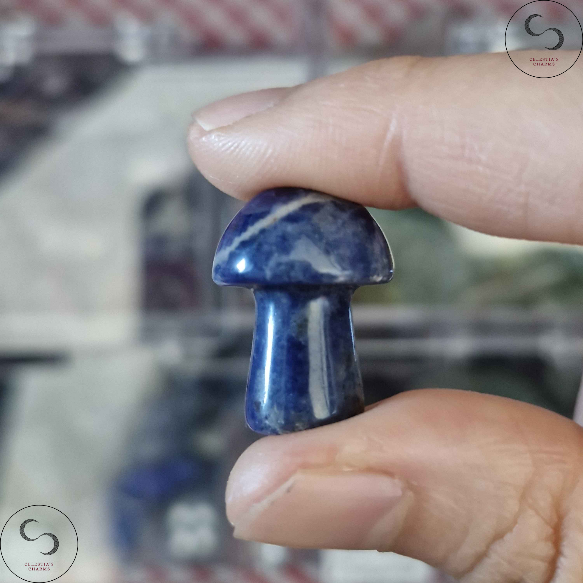 Crystal Mushroom Sodalite | Celestia's Charms
