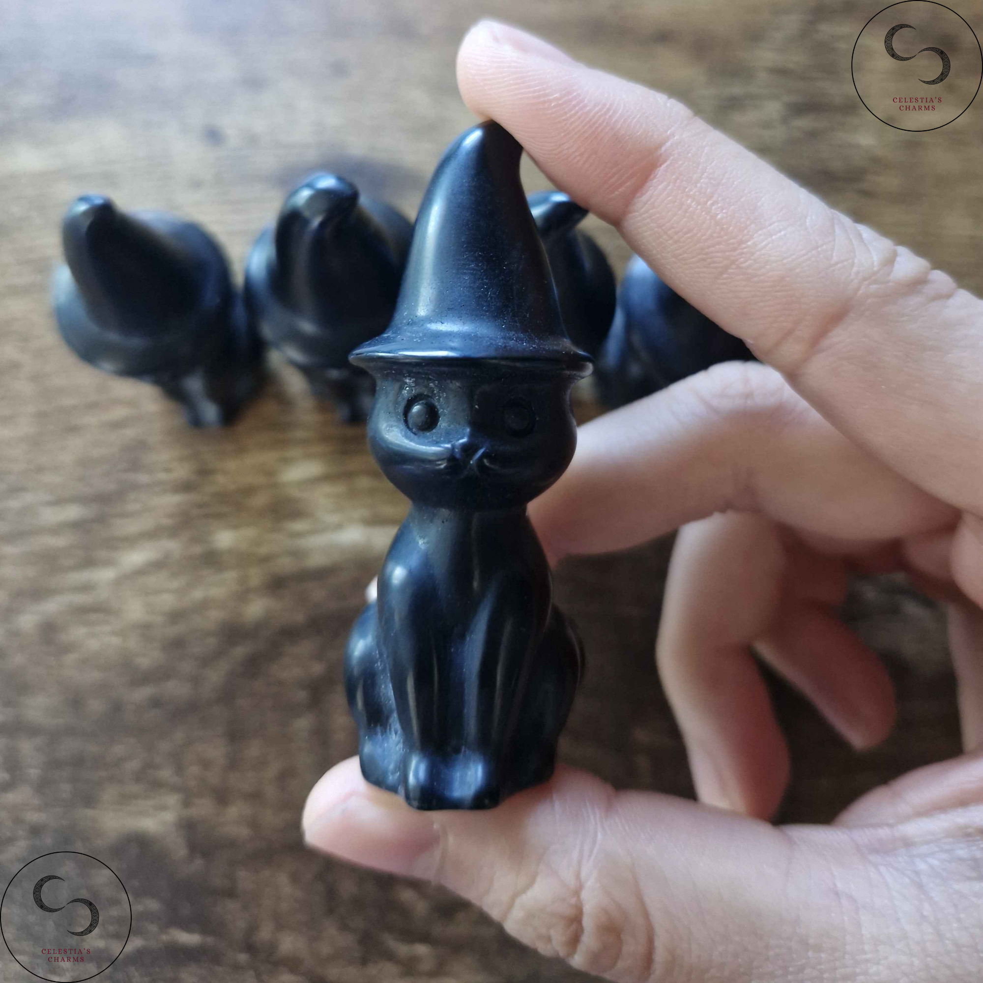 Obsidian Witch Cat | Celestia's Charms
