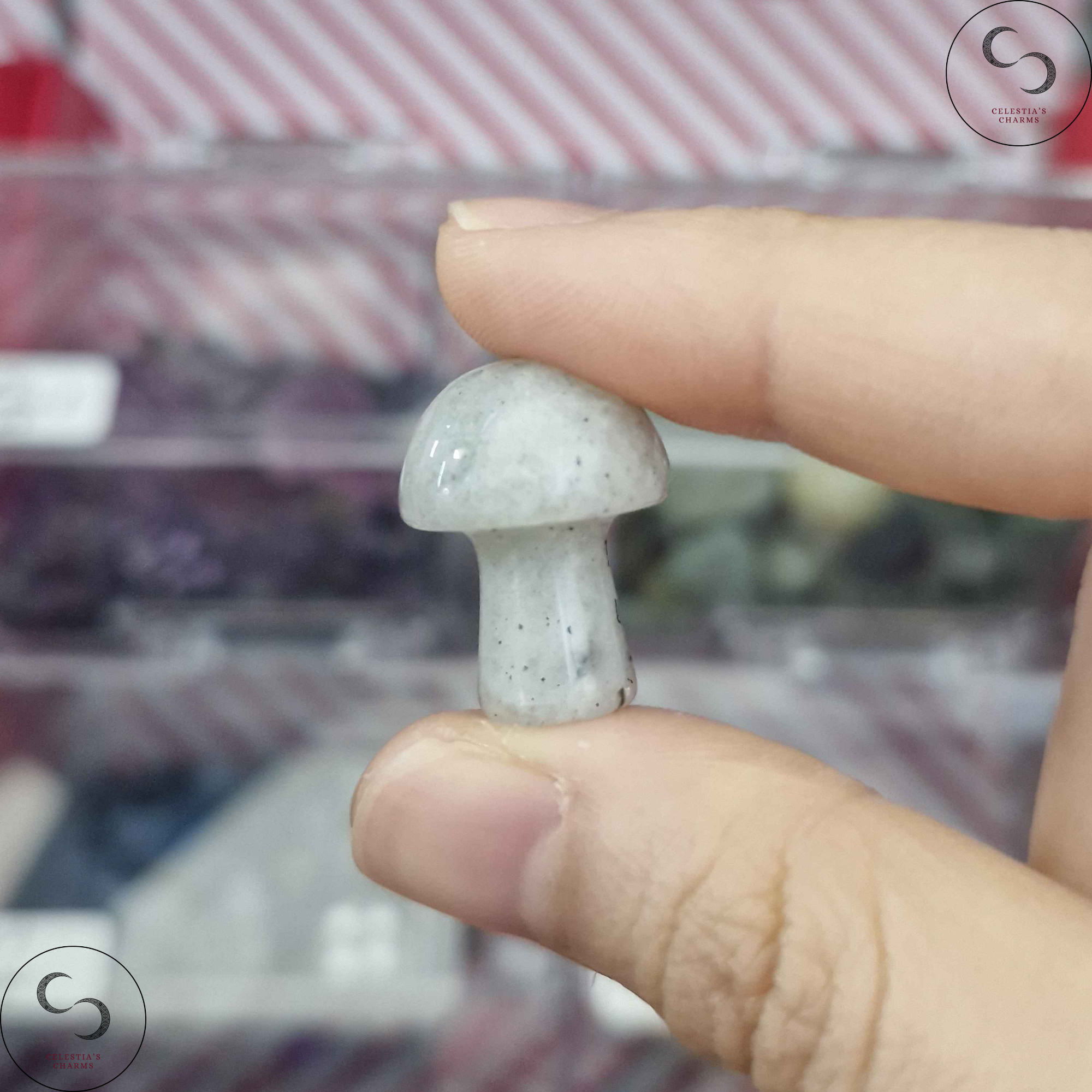 Crystal Mushroom Labradorite | Celestia's Charms