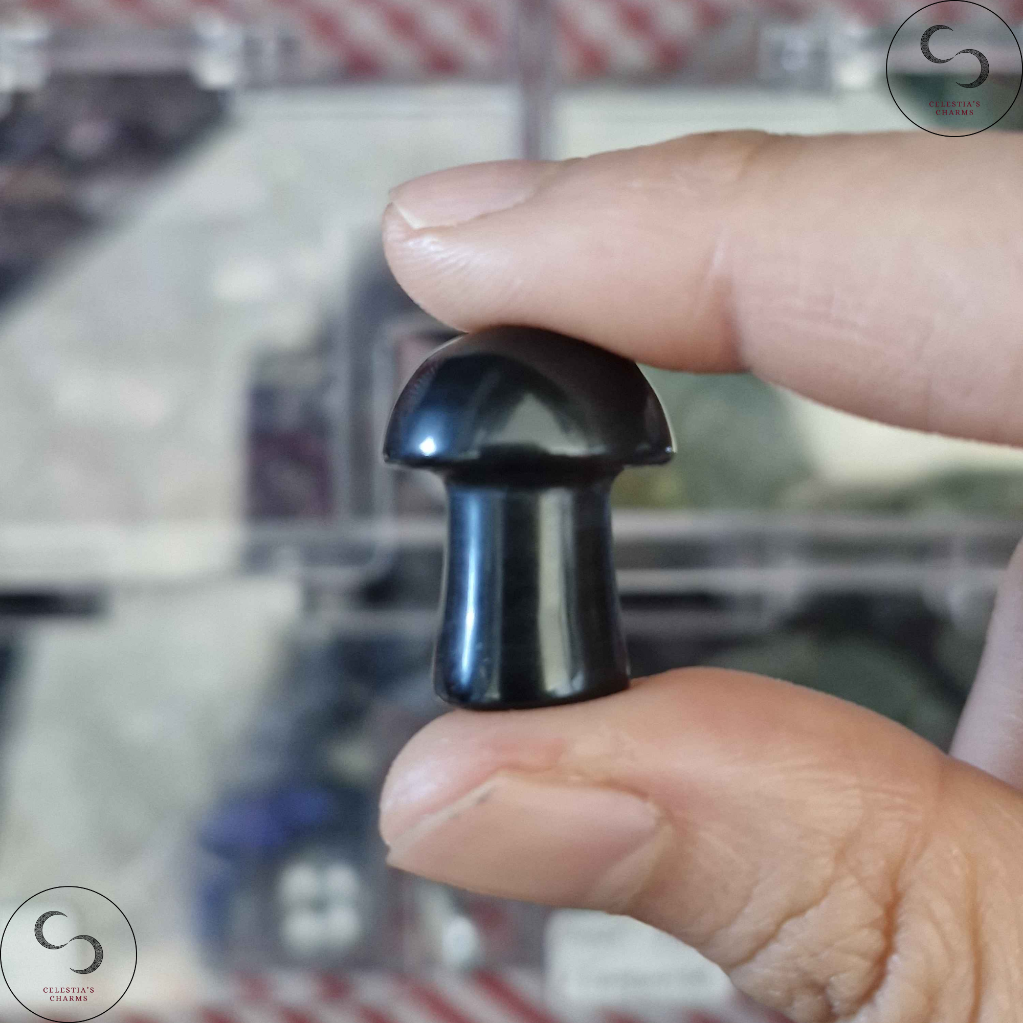 Crystal Mushroom Obsidian | Celestia's Charms