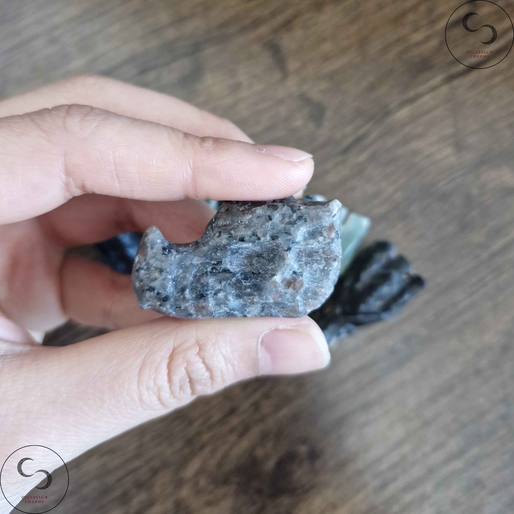 Mini Dragon Heads Larvikite | Celestia's Charms