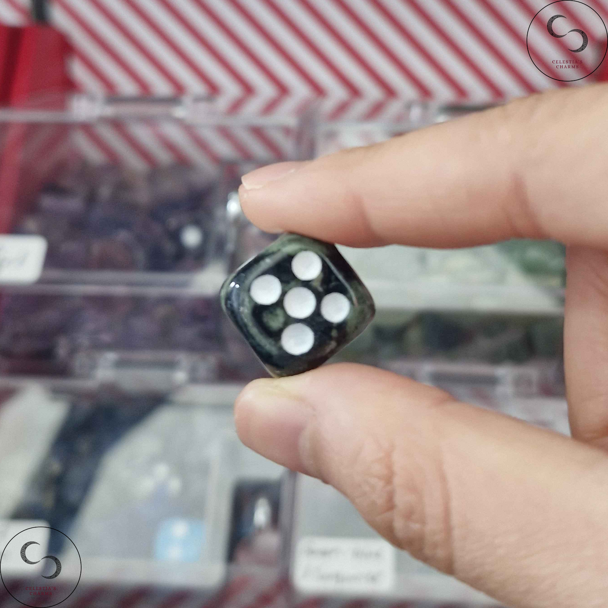 Crystal Dice Kambaba Jasper | Celestia's Charms