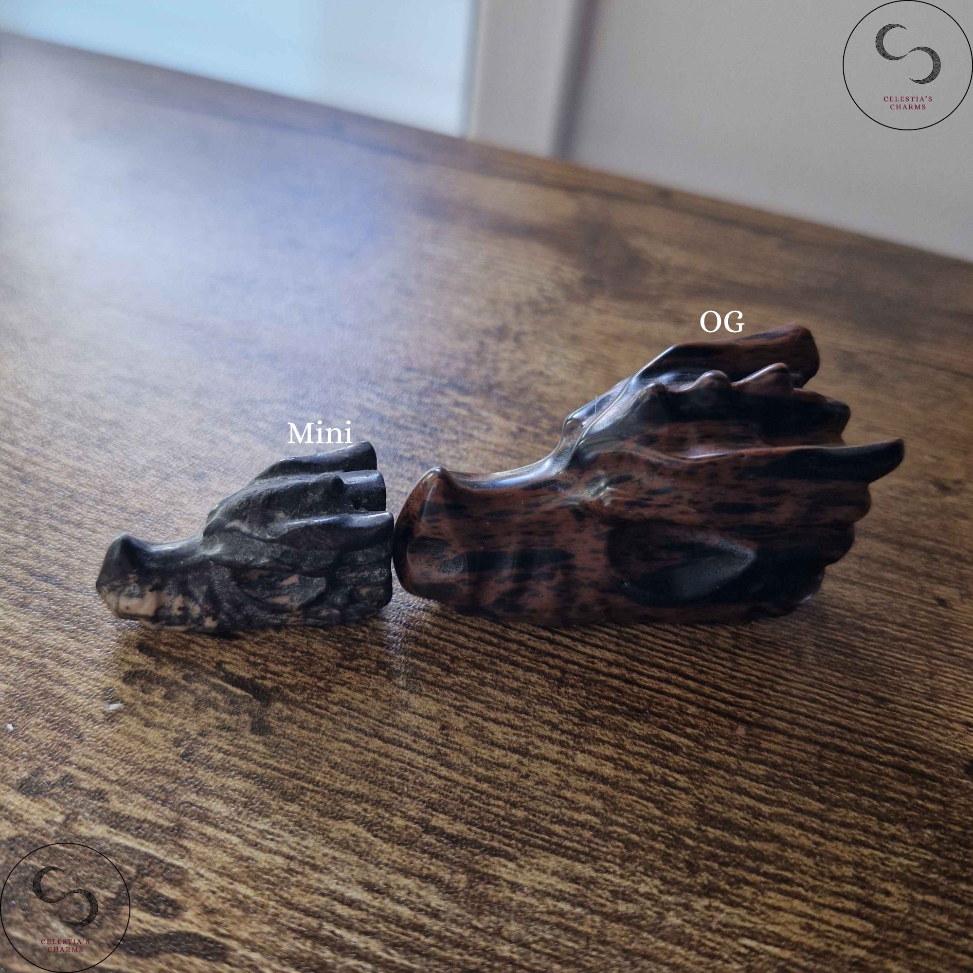 Dragon Heads Size Comparison | Celestia's Charms