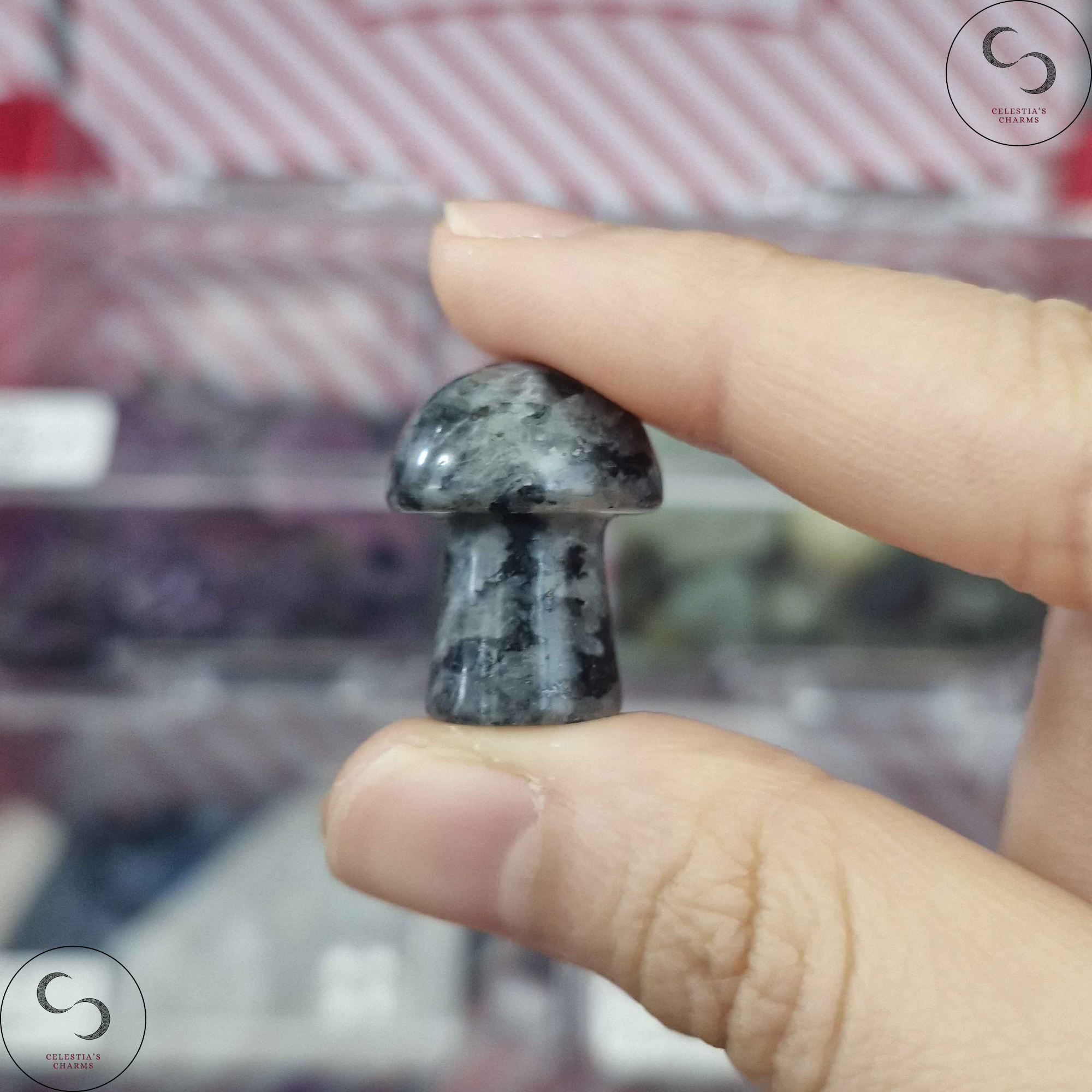 Crystal Mushroom Larvikite | Celestia's Charms