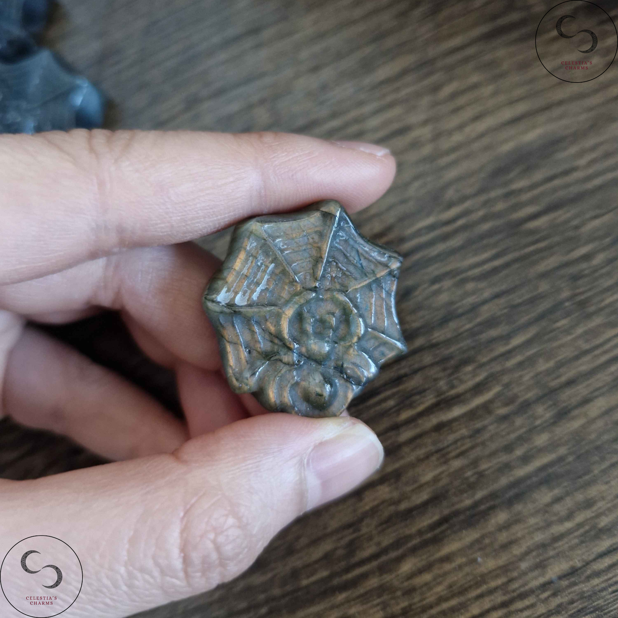 Labradorite Spider Golden | Celestia's Charms