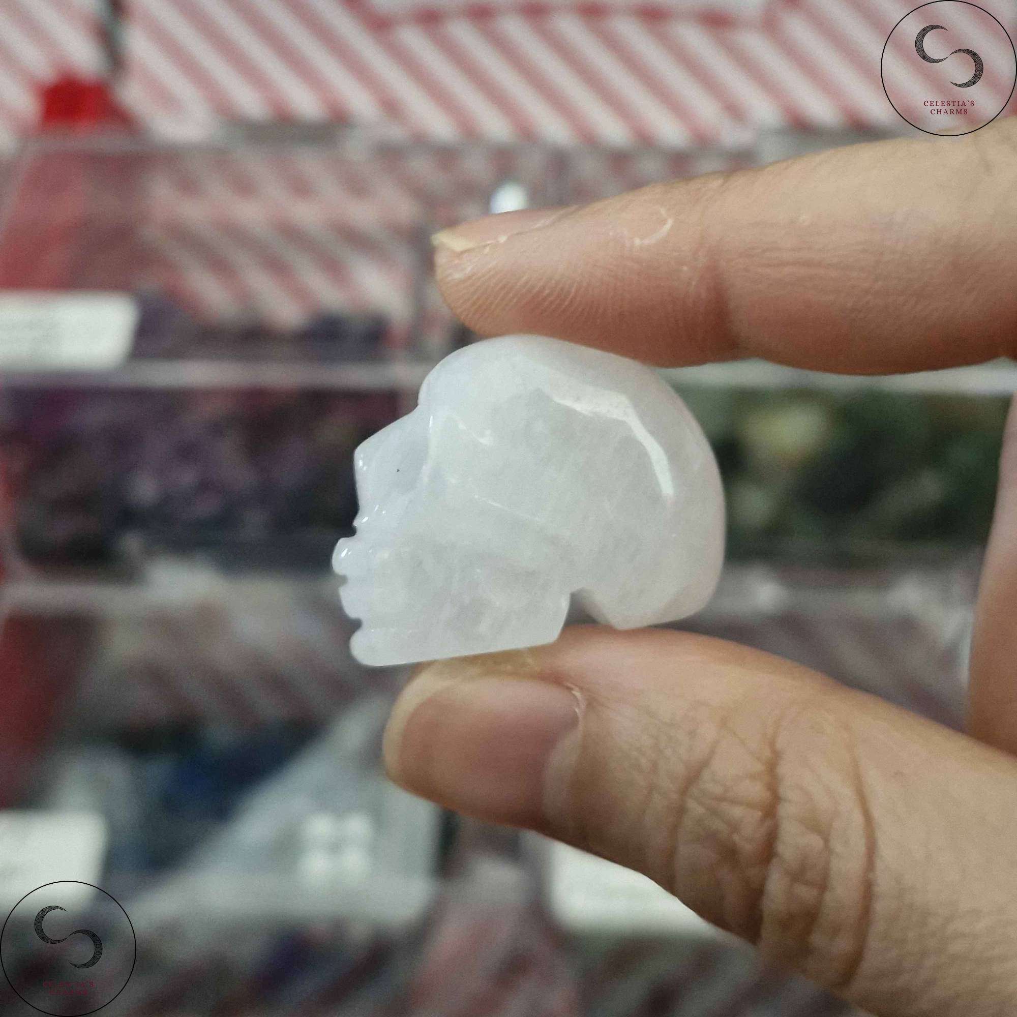 Crystal Skull Clear Quartz | Celestia's Charms