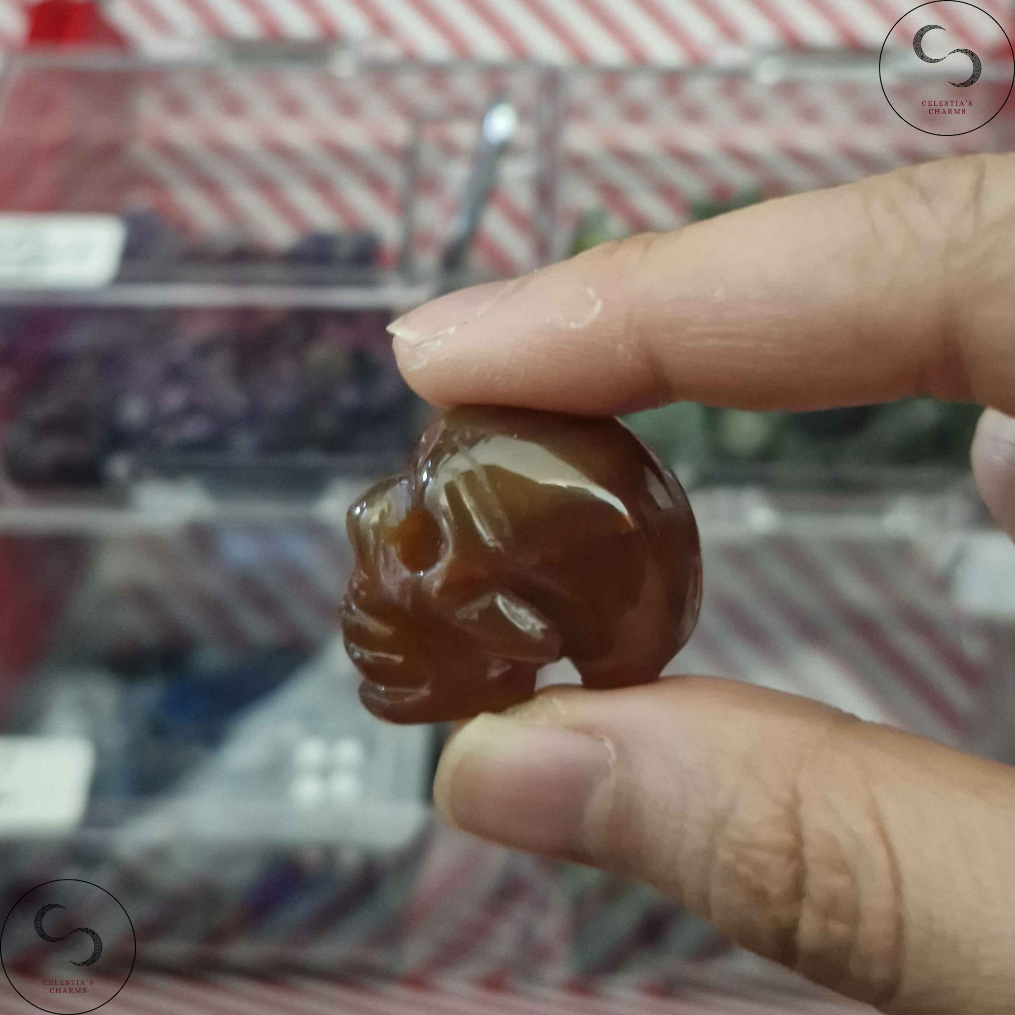 Crystal Skull Carnelian | Celestia's Charms