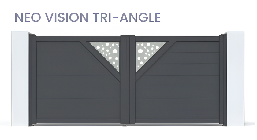 Néo vision triangle