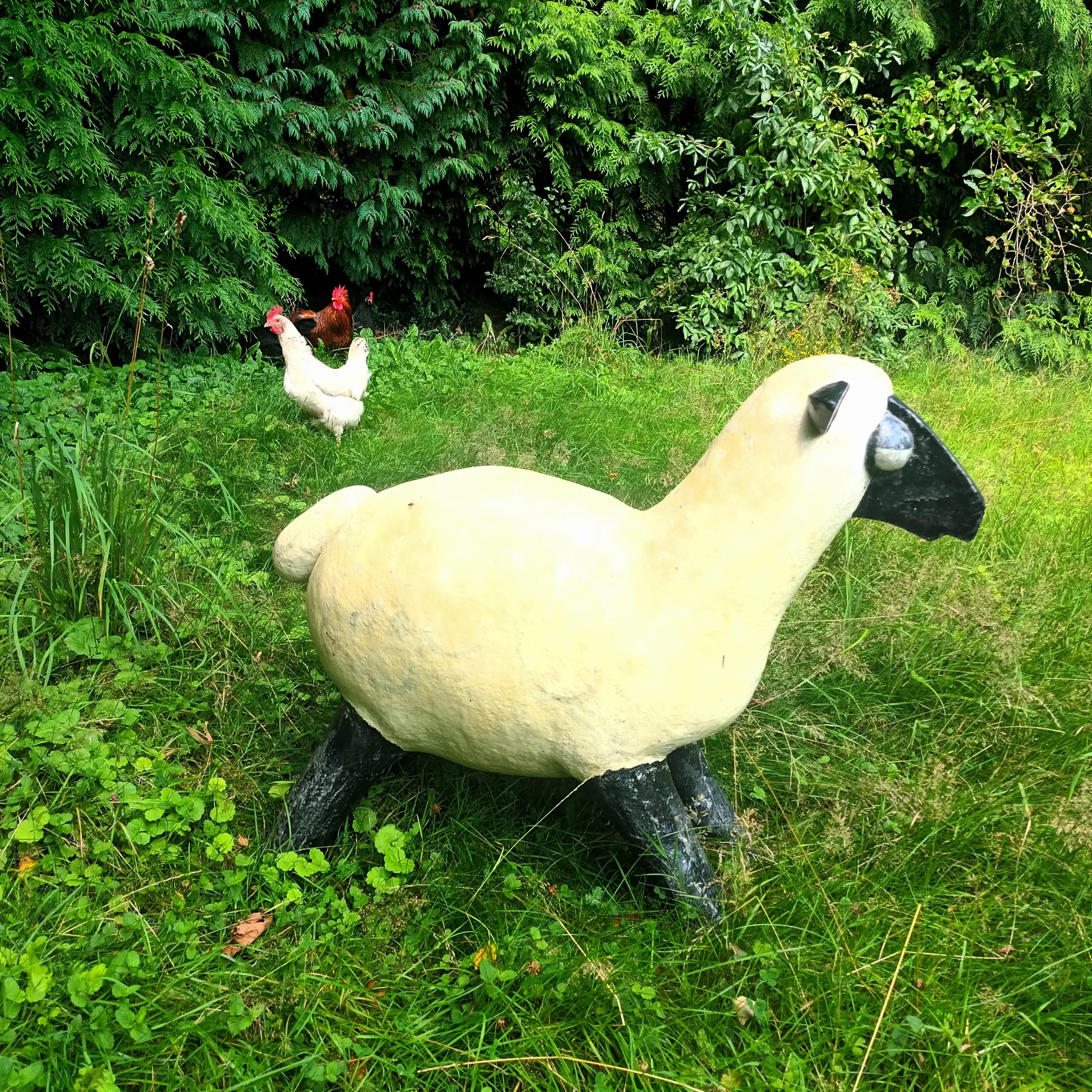 sheep.jpg