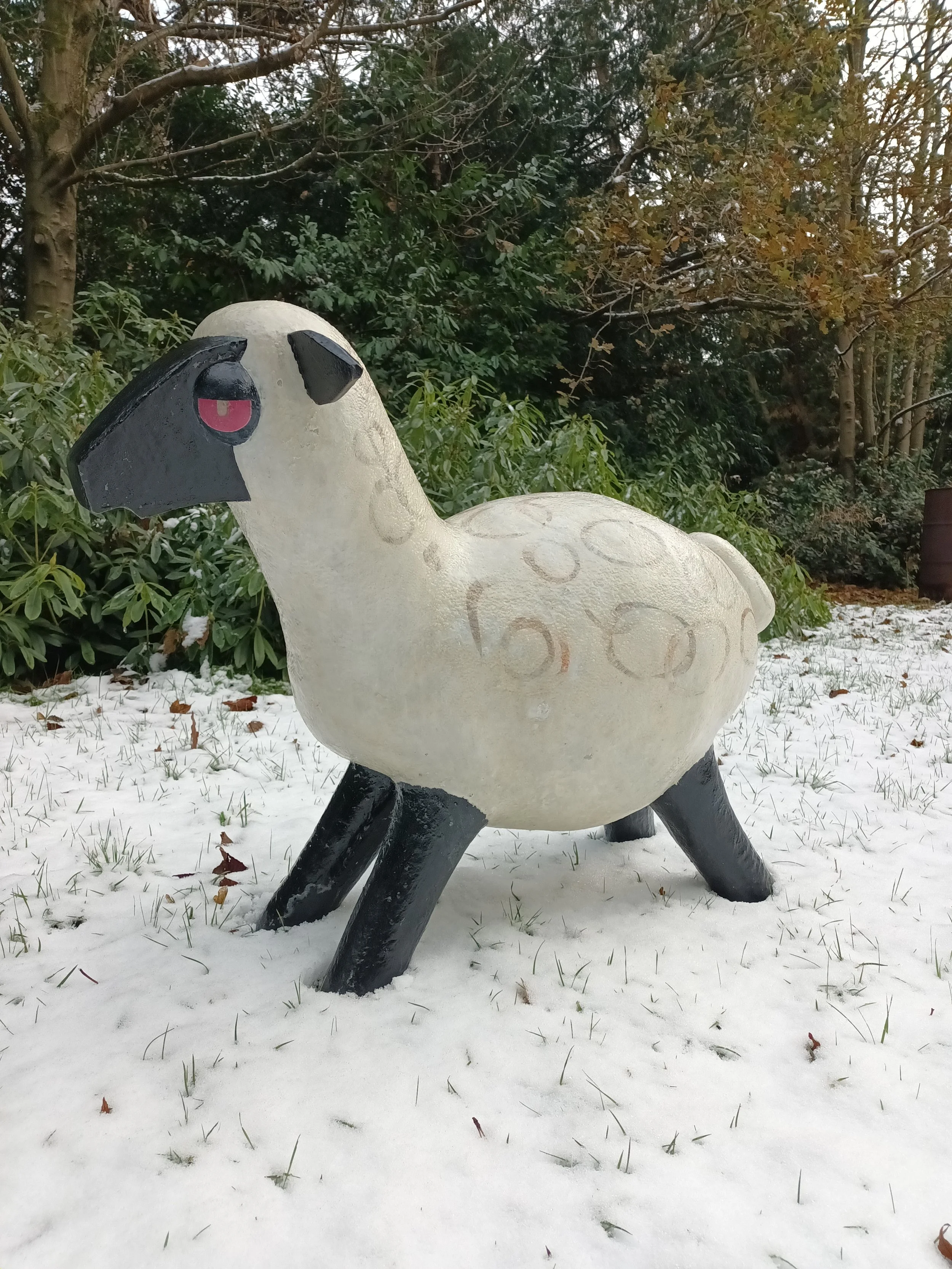 sheep.jpg
