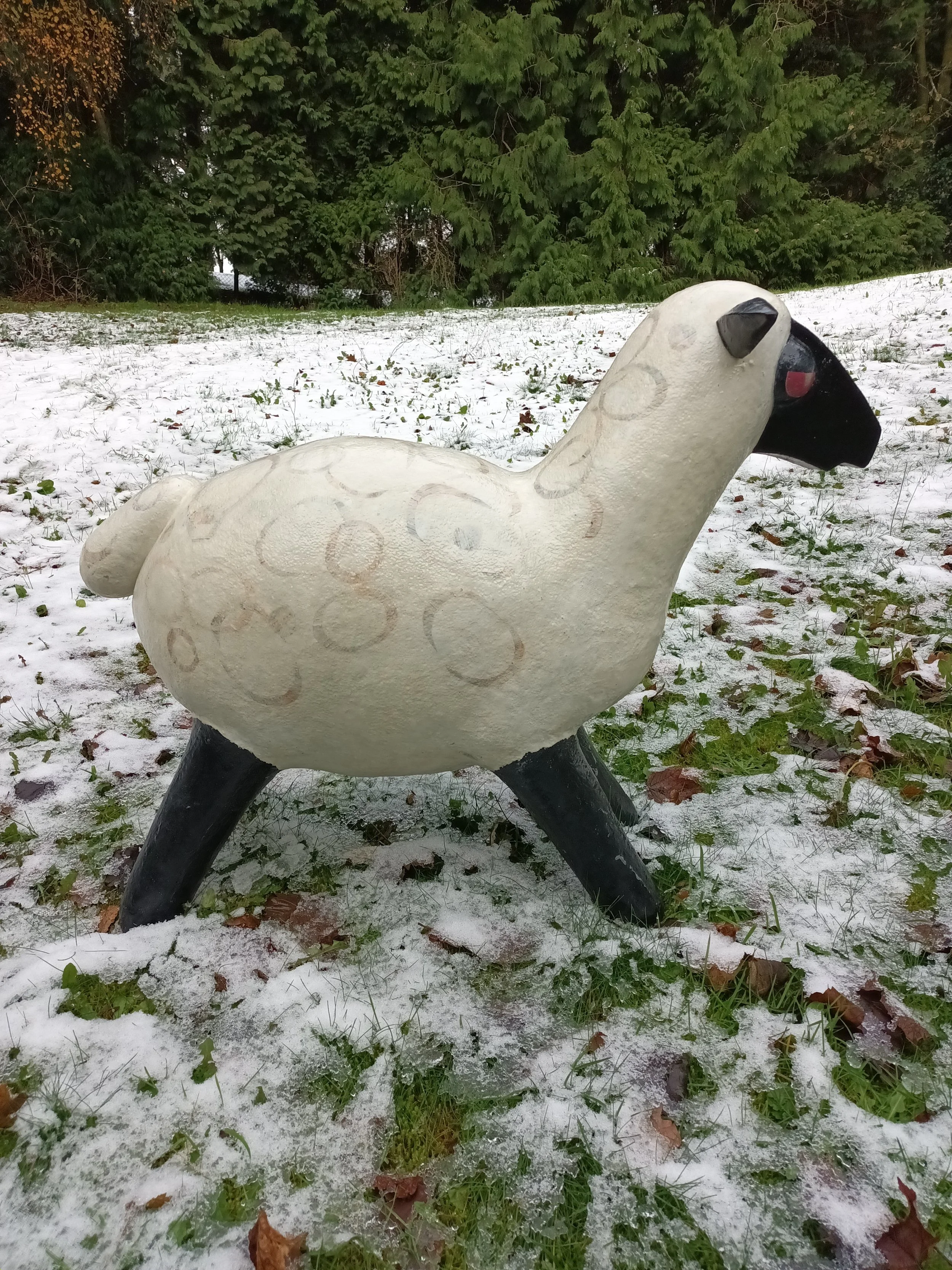 sheep.jpg