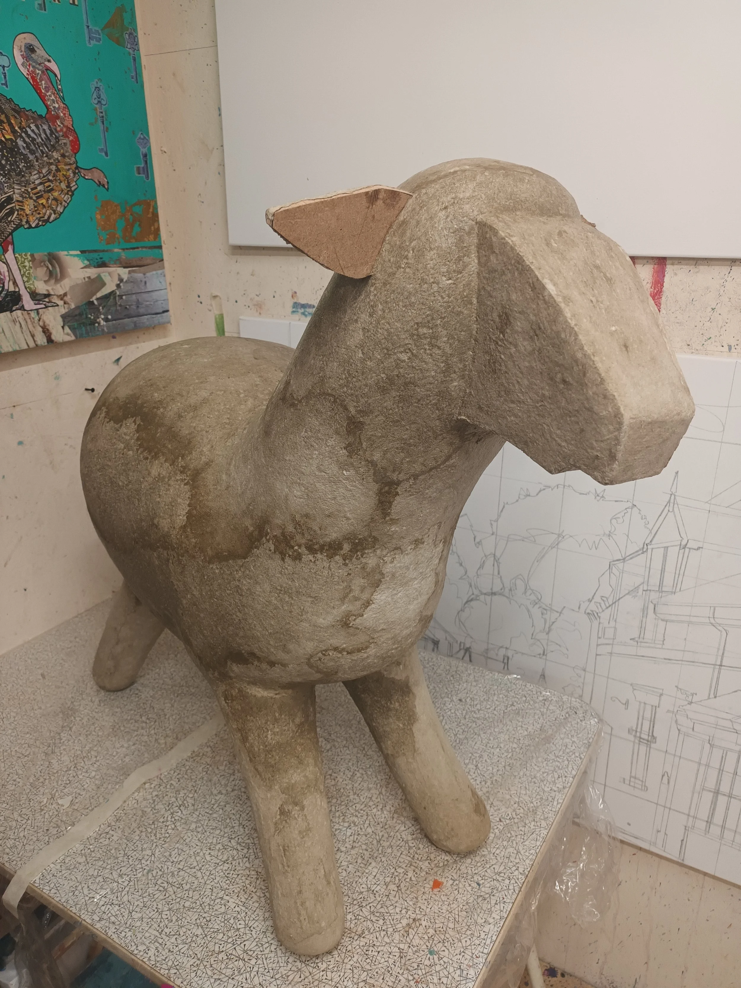 sheep.jpg